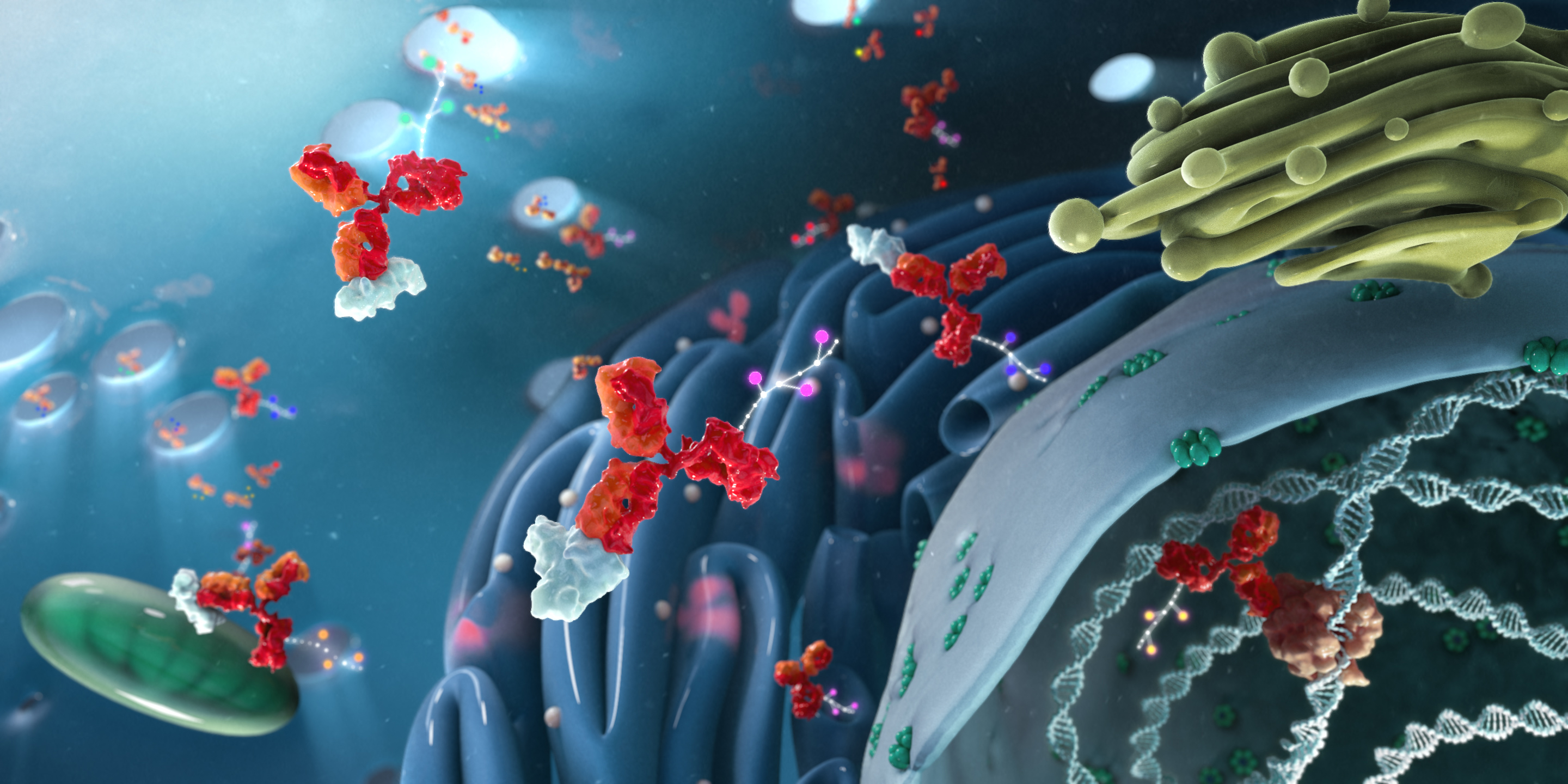 Interacellular Staining Flow Cytometry.jpg